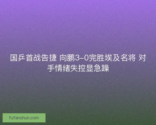 国乒首战告捷 向鹏3-0完胜埃及名将 对手情绪失控显急躁